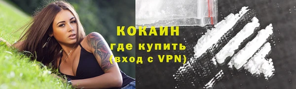крисы Елизово