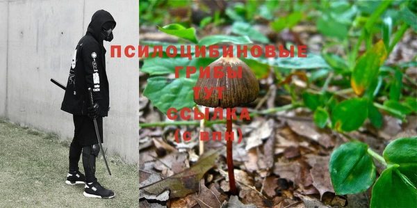 кокаин Ельня