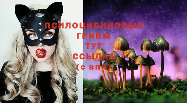 крисы Елизово