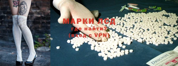 крисы Елизово