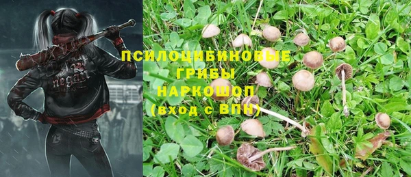 крисы Елизово